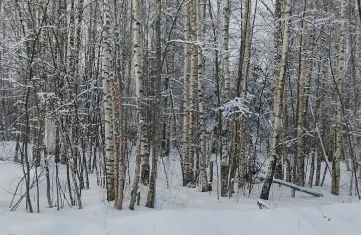Фото строительства